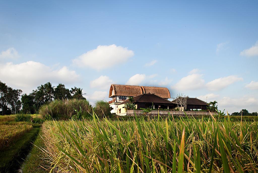 Kubu Kedungu Villas Tanah Lot Zewnętrze zdjęcie